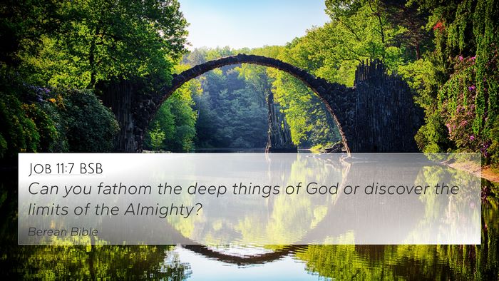 Job 11:7 BSB Bible Verse Image