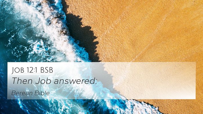 Job 12:1 BSB 4K Wallpaper - Then Job - 4K Wallpaper Bible Verse