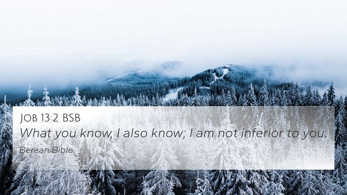 Job 13:2 BSB Bible Verse Image