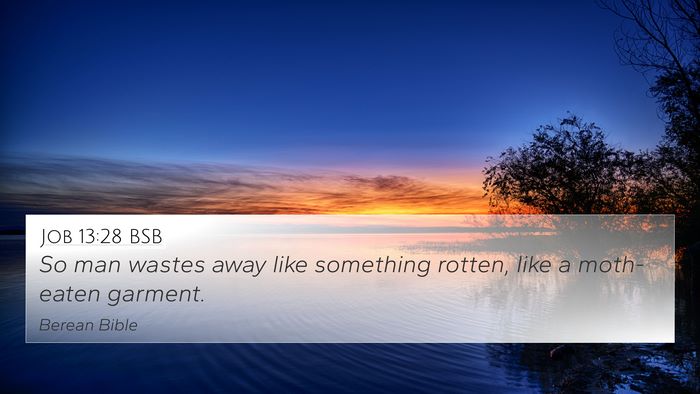 Job 13:28 BSB Bible Verse Image