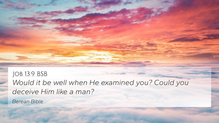 Job 13:9 BSB Bible Verse Image