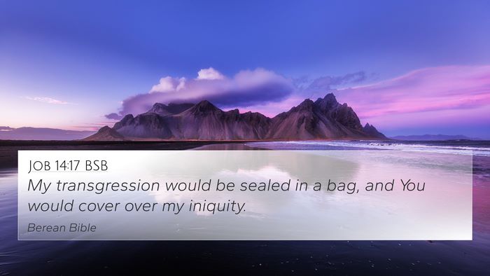 Job 14:17 BSB Bible Verse Image