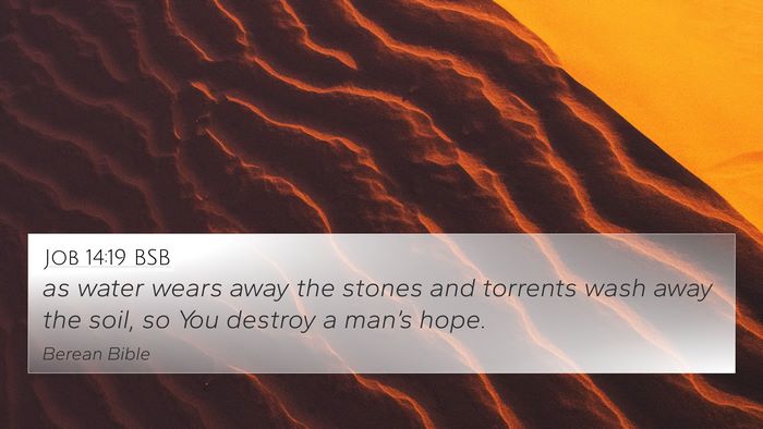 Job 14:19 BSB Bible Verse Image