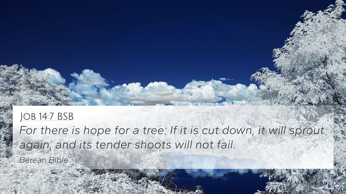 Job 14:7 BSB Bible Verse Image