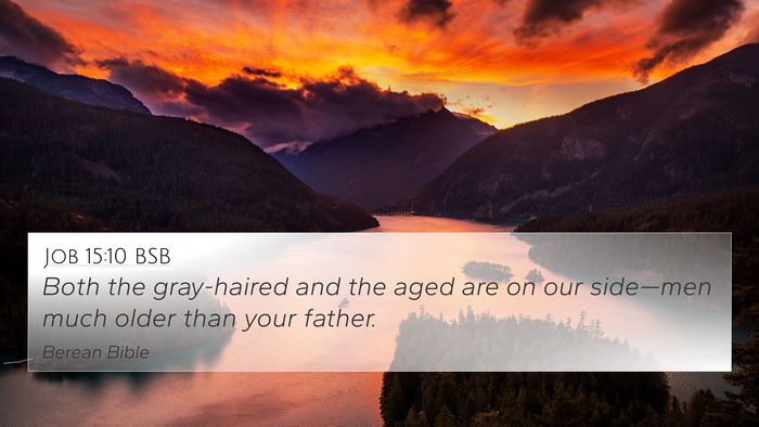 Job 15:10 BSB Bible Verse Image