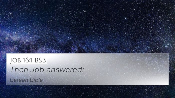 Job 16:1 BSB 4K Wallpaper - Then Job - 4K Wallpaper Bible Verse