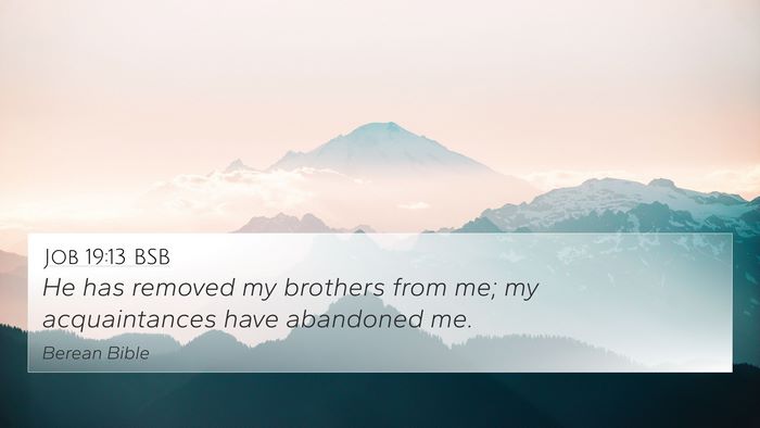 Job 19:13 BSB Bible Verse Image