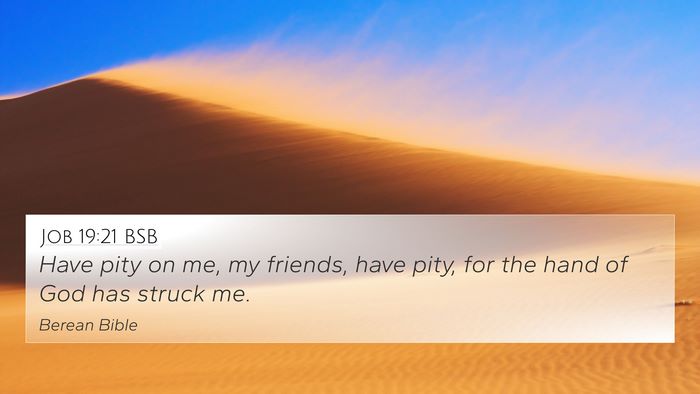 Job 19:21 BSB Bible Verse Image