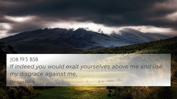 Job 19:5 BSB Bible Verse Image