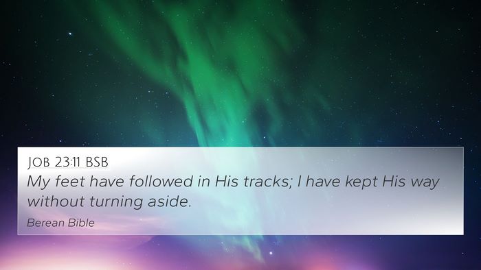 Job 23:11 BSB Bible Verse Image