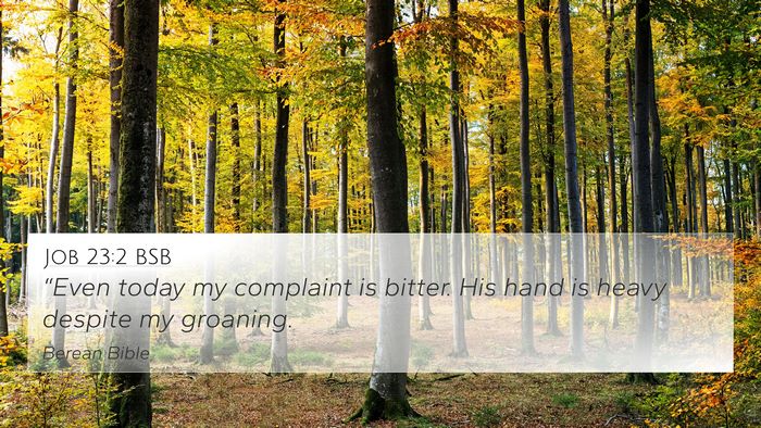 Job 23:2 BSB Bible Verse Image
