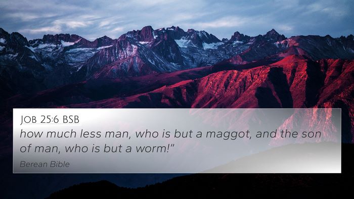 Job 25:6 BSB Bible Verse Image