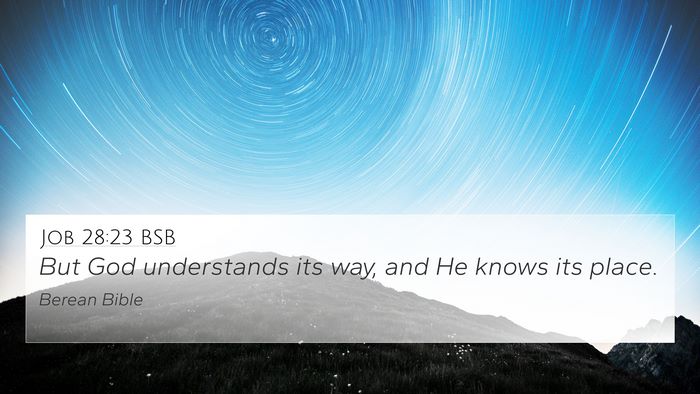 Job 28:23 BSB Bible Verse Image