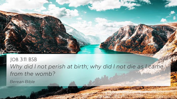 Job 3:11 BSB Bible Verse Image
