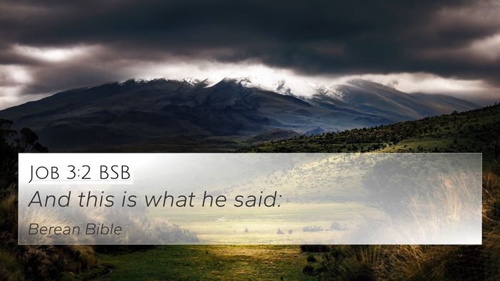 Job 3:2 BSB 4K Wallpaper - And this is what he - 4K Wallpaper Bible Verse