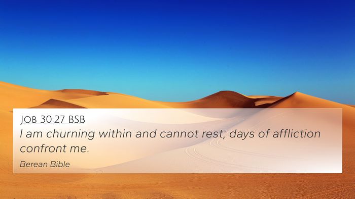 Job 30:27 BSB Bible Verse Image