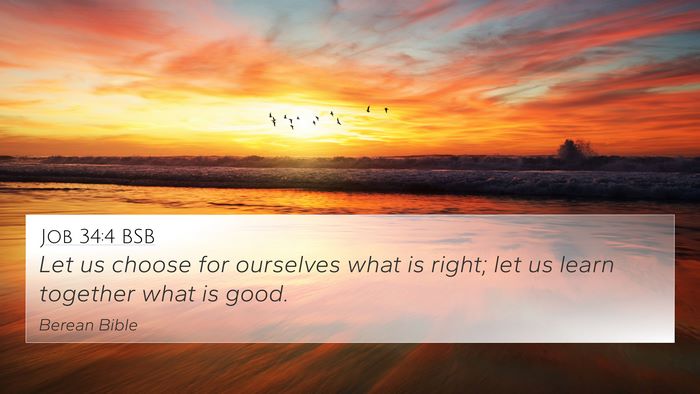 Job 34:4 BSB Bible Verse Image