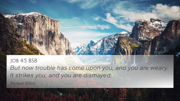 Job 4:5 BSB Bible Verse Image