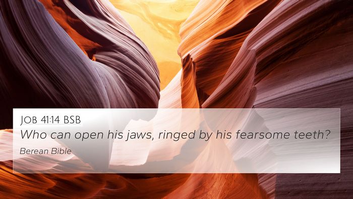 Job 41:14 BSB 4K Wallpaper - Who can open his jaws, ringed by his fearsome - 4K Wallpaper Bible Verse