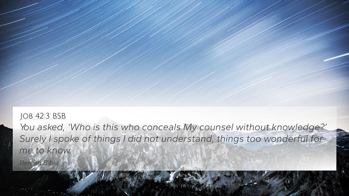 Job 42:3 BSB Bible Verse Image