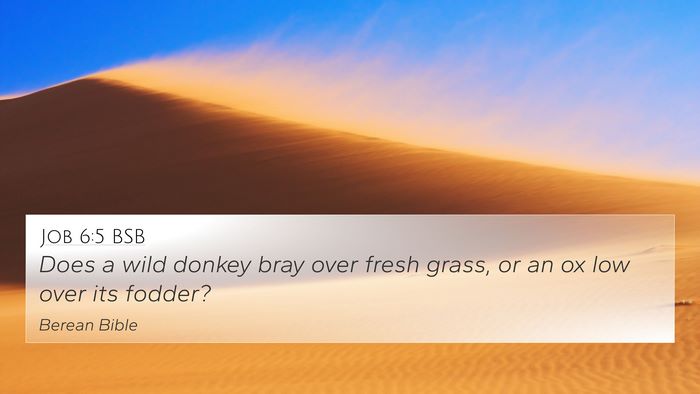 Job 6:5 BSB Bible Verse Image