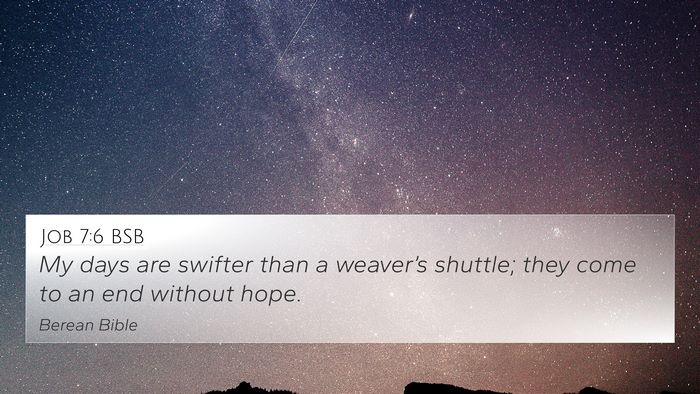Job 7:6 BSB Bible Verse Image