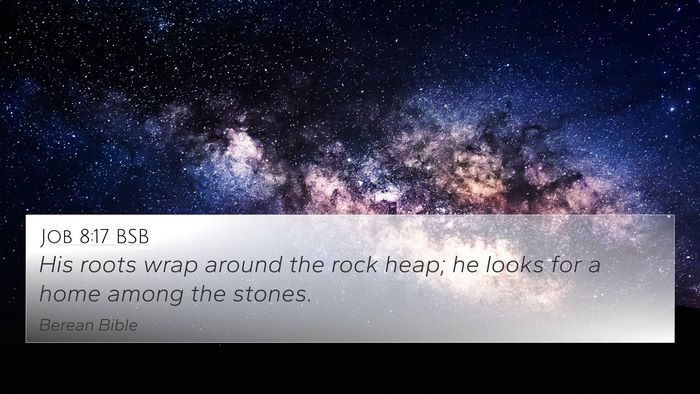 Job 8:17 BSB 4K Wallpaper - His roots wrap around the rock heap; he looks for - 4K Wallpaper Bible Verse