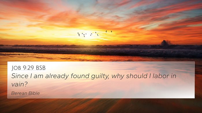 Job 9:29 BSB Bible Verse Image