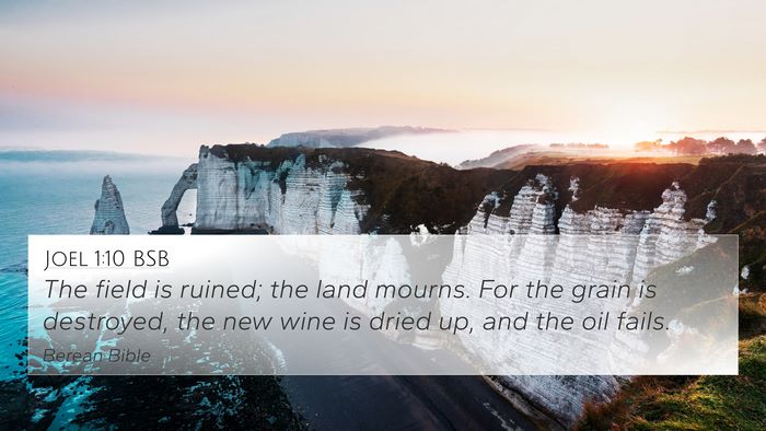 Joel 1:10 BSB Bible Verse Image