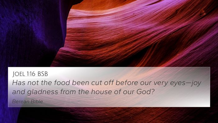 Joel 1:16 BSB Bible Verse Image