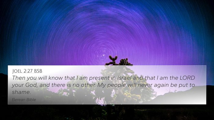 Joel 2:27 BSB Bible Verse Image