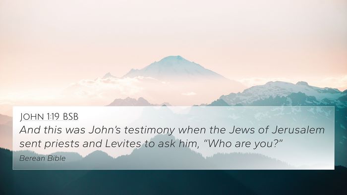 John 1:19 BSB Bible Verse Image