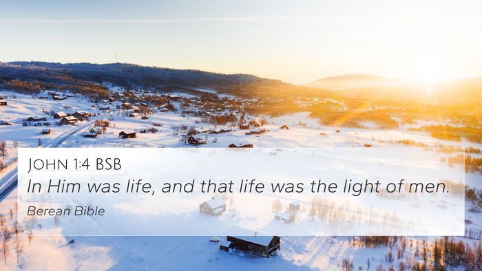 John 1:4 BSB Bible Verse Image