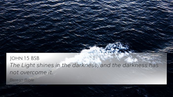 John 1:5 BSB Bible Verse Image