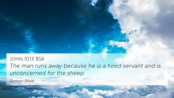 John 10:13 BSB Bible Verse Image