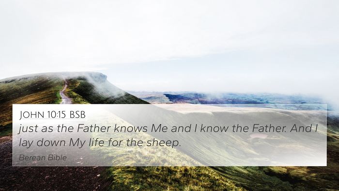 John 10:15 BSB Bible Verse Image