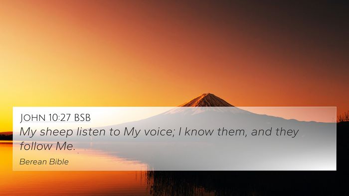 John 10:27 BSB Bible Verse Image
