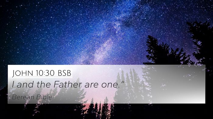 John 10:30 BSB Bible Verse Image