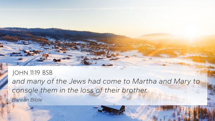 John 11:19 BSB Bible Verse Image