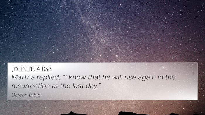 John 11:24 BSB Bible Verse Image