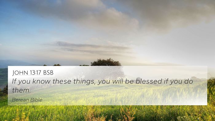 John 13:17 BSB Bible Verse Image