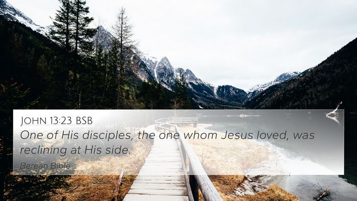 John 13:23 BSB Bible Verse Image