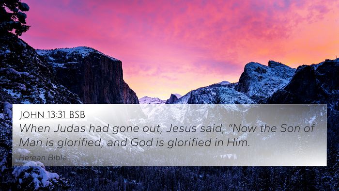 John 13:31 BSB Bible Verse Image