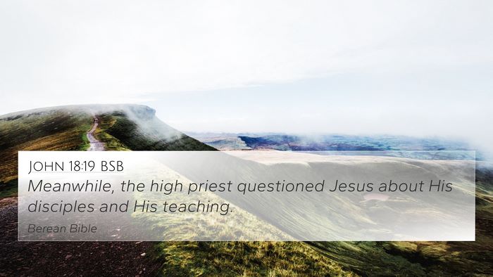 John 18:19 BSB Bible Verse Image
