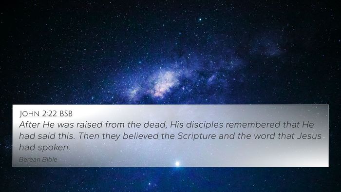 John 2:22 BSB Bible Verse Image