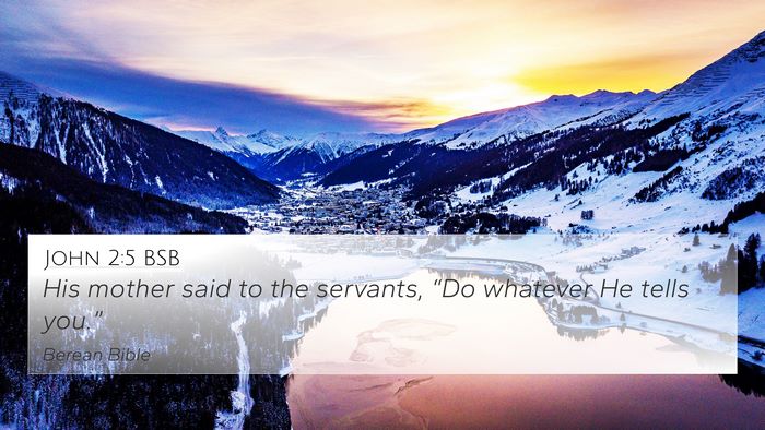 John 2:5 BSB Bible Verse Image