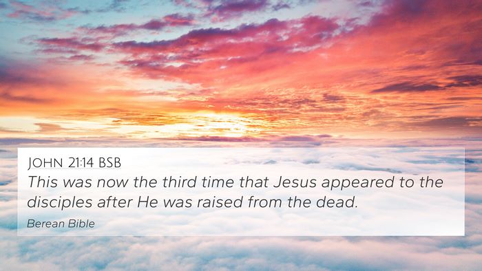 John 21:14 BSB Bible Verse Image