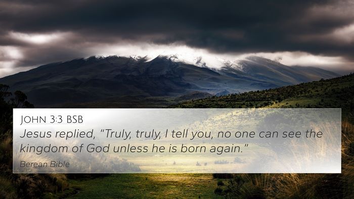 John 3:3 BSB Bible Verse Image