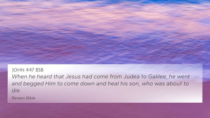 John 4:47 BSB Bible Verse Image