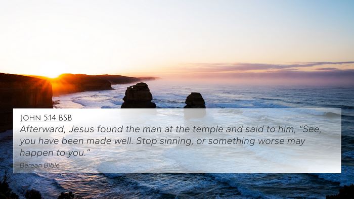 John 5:14 BSB Bible Verse Image